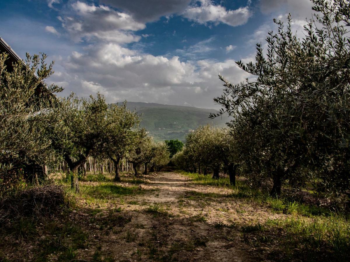 Country House Casale Centurione Villa Manoppello Dış mekan fotoğraf